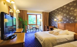 zdjęcie pokoju, Hotel Litwor*****, Zakopane