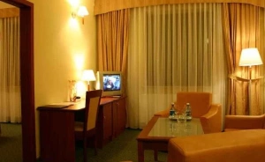 zdjęcie pokoju, Hotel Palatium ***, Żabia wola