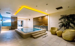 HOTEL ARENA spa & wellness Tychy Hotel *** / 1