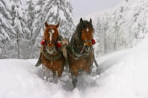 sleigh ride