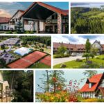 Mazury slow – jak zorganizować spokojny, wyciszający wyjazd firmowy blisko natury