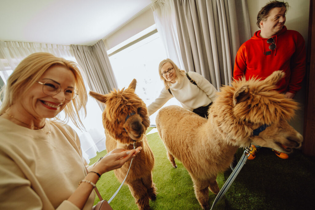 Górskie MICE Summit