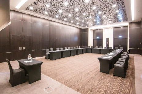 Sala konferencyjna Sala F Walencja w Andersia Hotel & Spa, a member of Radisson Individuals **** Poznań