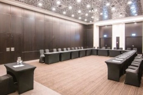 Sala konferencyjna Sala G Malaga w Andersia Hotel & Spa, a member of Radisson Individuals **** Poznań