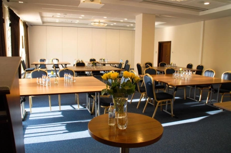 Sala konferencyjna Sala nr 1 w Hotel Park Kajetany Nadarzyn