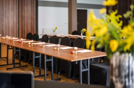 Sala konferencyjna Sala Wenus 2 w Dosłońce Resort Wellness & Farm Racławice