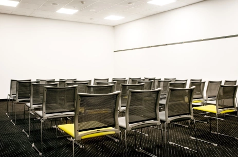 Sala konferencyjna Sala  Fabryczna w Hotel Ibis Łódź Centrum Łódź