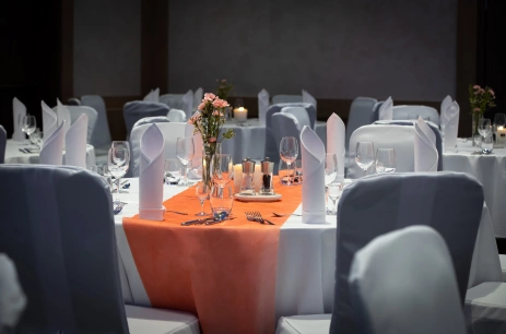 Sala konferencyjna Granaty w Radisson Blu Hotel & Residences Zakopane Zakopane