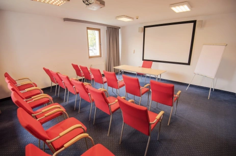 Sala konferencyjna Sala Konferencyjna C w HOTEL ARENA spa & wellness Tychy Tychy