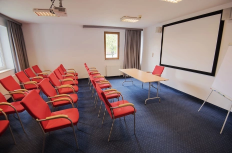 Sala konferencyjna Sala Konferencyjna C w HOTEL ARENA spa & wellness Tychy Tychy