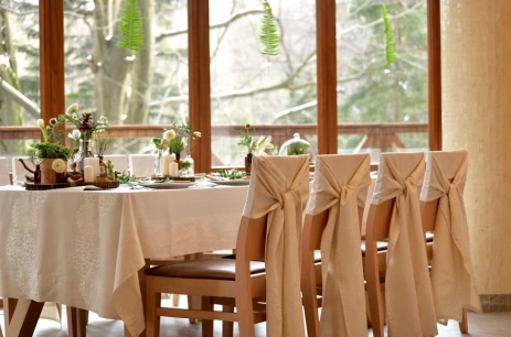 Sala konferencyjna Sala szkoleniowa w Hotel Europa *** Górnicza Strzecha Szklarska Poręba