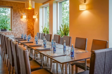 Sala konferencyjna Sala konferencyjna w Srebrny Bucznik Istebna
