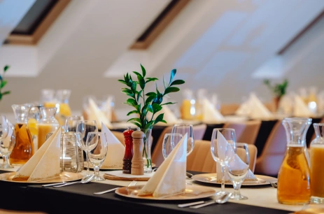 Sala konferencyjna Albero Ip. w Osada Śnieżka Jelenia Góra