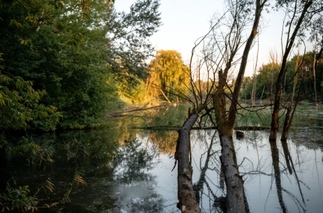 Sala konferencyjna Ogród w Bez Słowa Warszawa