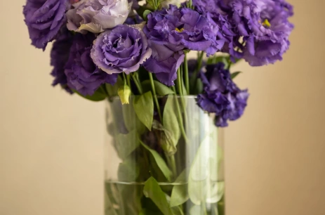 Sala konferencyjna Sala Konferencyjna Kamienny II w Crystal Mountain***** Wisła