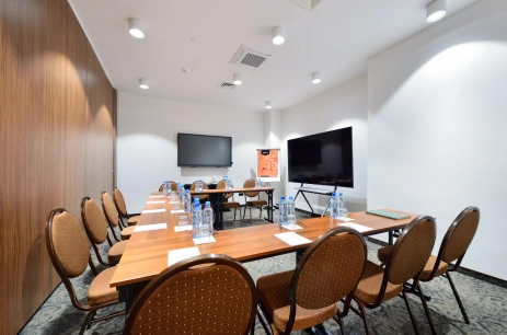 Sala konferencyjna Sala Witalności 2 w Arche Nałęczów dawne Sanatorium Milicyjne Nałęczów