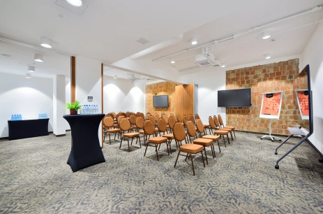 Sala konferencyjna Sala Regeneracji 2 w Arche Nałęczów dawne Sanatorium Milicyjne Nałęczów