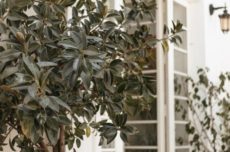 Sala konferencyjna Taras Wschodni w Pałac Żółwin Żołwin