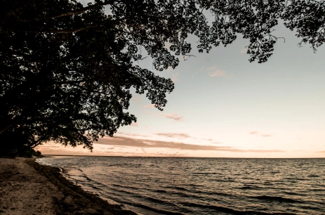 Sala konferencyjna Parki i plaża w Zamek Rzucewo Puck
