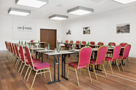 Sala konferencyjna Troja I w Hotel Olympic Ustroń
