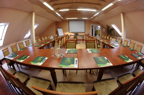 Sala konferencyjna Sala szkoleniowa SPA w Wellness&Spa W krainie Alicji Nałęczów Nałęczów