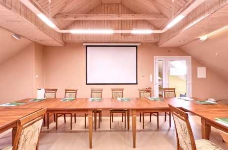 Sala konferencyjna Sala szkoleniowa SPA w Wellness&Spa W krainie Alicji Nałęczów Nałęczów