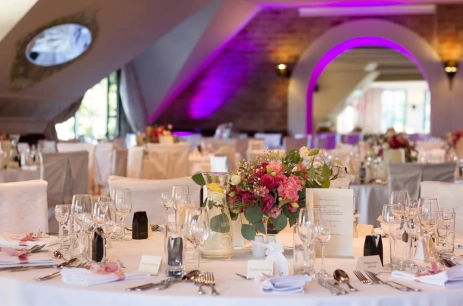 Sala konferencyjna Sala Balowa w Villa Riccona Ożarów Mazowiecki