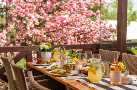 Sala konferencyjna Taras w Villa Riccona Ożarów Mazowiecki