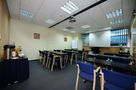 Sala konferencyjna Sala Kryształowa  w Centrum szkoleniowo-konferencyjne KOCHTEX Poznań