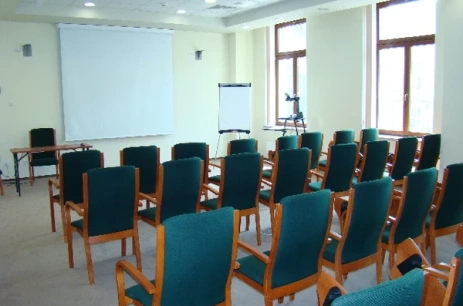 Sala konferencyjna Sala C102 w Instytut Europejski w Łodzi Łódź