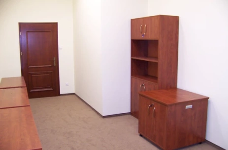 Sala konferencyjna Sala C107  w Instytut Europejski w Łodzi Łódź