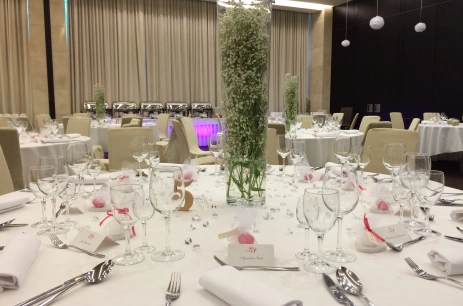 Sala konferencyjna E+F w Andersia Hotel & Spa, a member of Radisson Individuals **** Poznań