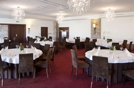 Sala konferencyjna Champions League w Hotel Remes Sport & Spa Opalenica