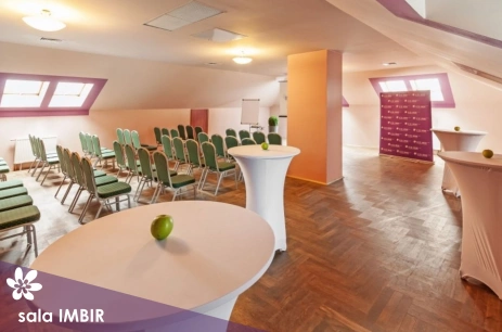 Sala konferencyjna Imbir w Hotel Szafran **** Katowice