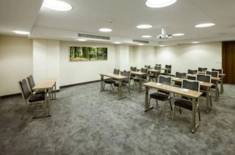 Sala konferencyjna Tamiza w Hotel NARVIL Conference & Spa Serock