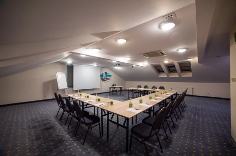 Sala konferencyjna Sala  Zefir w Hotel Cyprus Grodzisk Mazowiecki