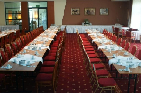 Sala konferencyjna Sala Rubinowa w Hotel Falko Gdynia