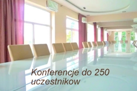 Sala konferencyjna Sala Konferencyjno-Bankietowa w Pensjonat Orla Skała*** Szklarska Poręba
