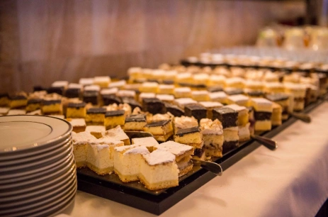 Sala konferencyjna Sala Bankietowa w Hotel Iskierka Business & SPA Mielec