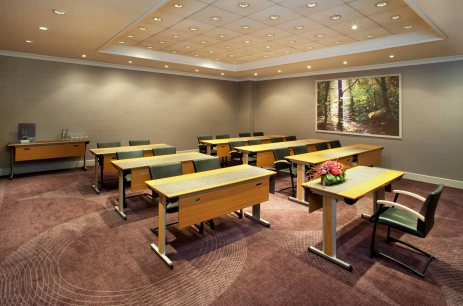 Sala konferencyjna Sala Wiedeń w Sheraton Grand Warsaw Warszawa