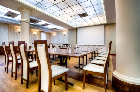 Sala konferencyjna Sala Bankietowo-Konferencyjna Duża w Hotel Aviator*** Łódź