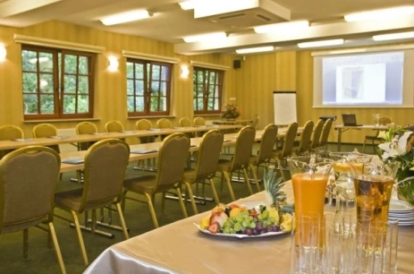 Sala konferencyjna Sala Centuria  w Centuria Hotel & Natural SPA Ogrodzieniec