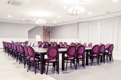 Sala konferencyjna Sala Platynowa w Pałac Krotoszyce *** Legnica