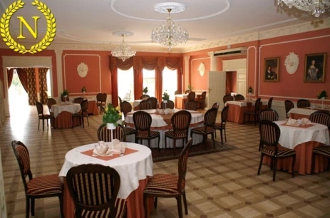 Sala konferencyjna Sala kolumnowa w Hotel Napoleon Wróblew