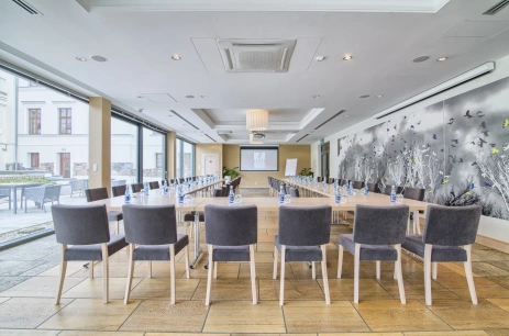 Sala konferencyjna Parkowa w Hanza Pałac Wellness & SPA **** Warlubie