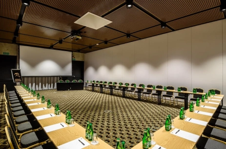 Sala konferencyjna ŁOSOWICZ 1 w Zamek Janów Podlaski Janów Podlaski