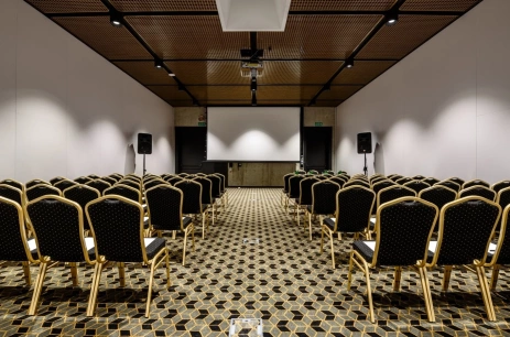 Sala konferencyjna ŁOSOWICZ 3 w Zamek Janów Podlaski Janów Podlaski