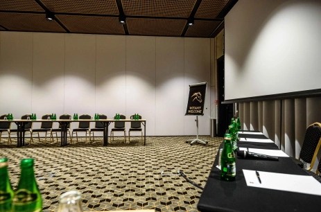 Sala konferencyjna KOBIELSKI w Zamek Janów Podlaski Janów Podlaski