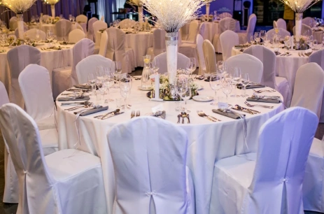 Sala konferencyjna Sala Balowo-Konferencyjna w Villa Omnia Trębki Nowe