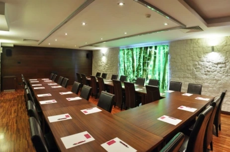 Sala konferencyjna Sala Szkoleniowa w Villa Aurelia Hotel & Spa Nałęczów